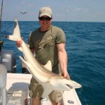 Fish Naples Florida